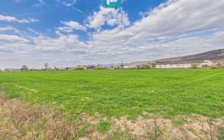 Teren extravilan, 1 ha, în orașul Sebiș, Arad - Poză 5