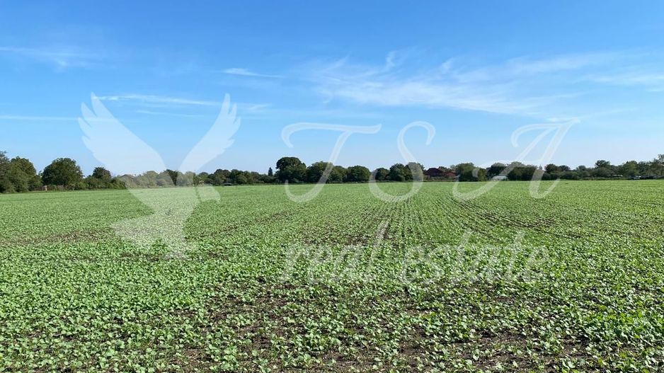 Teren Intravilan 825mp Cu dubla deschidere si Drum de servitute, Dascalu  Ilfov - Poză 12