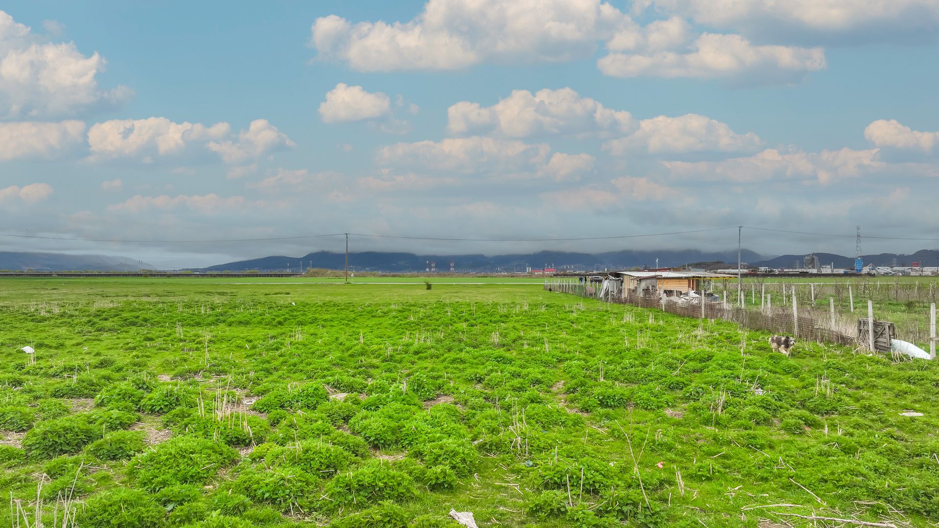 COMISION 0% | Teren intravilan hale producție/depozitare | Brașov - Poză 12