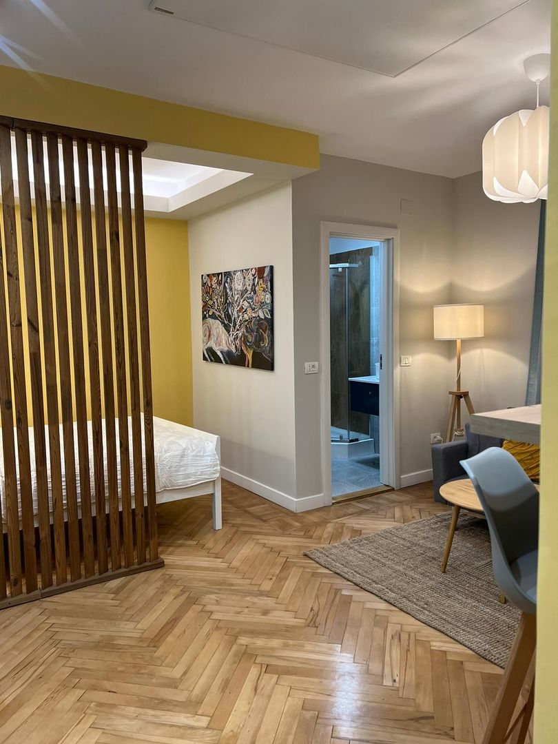 Studio exclusivist in zona Garii de Nord - Poză 20