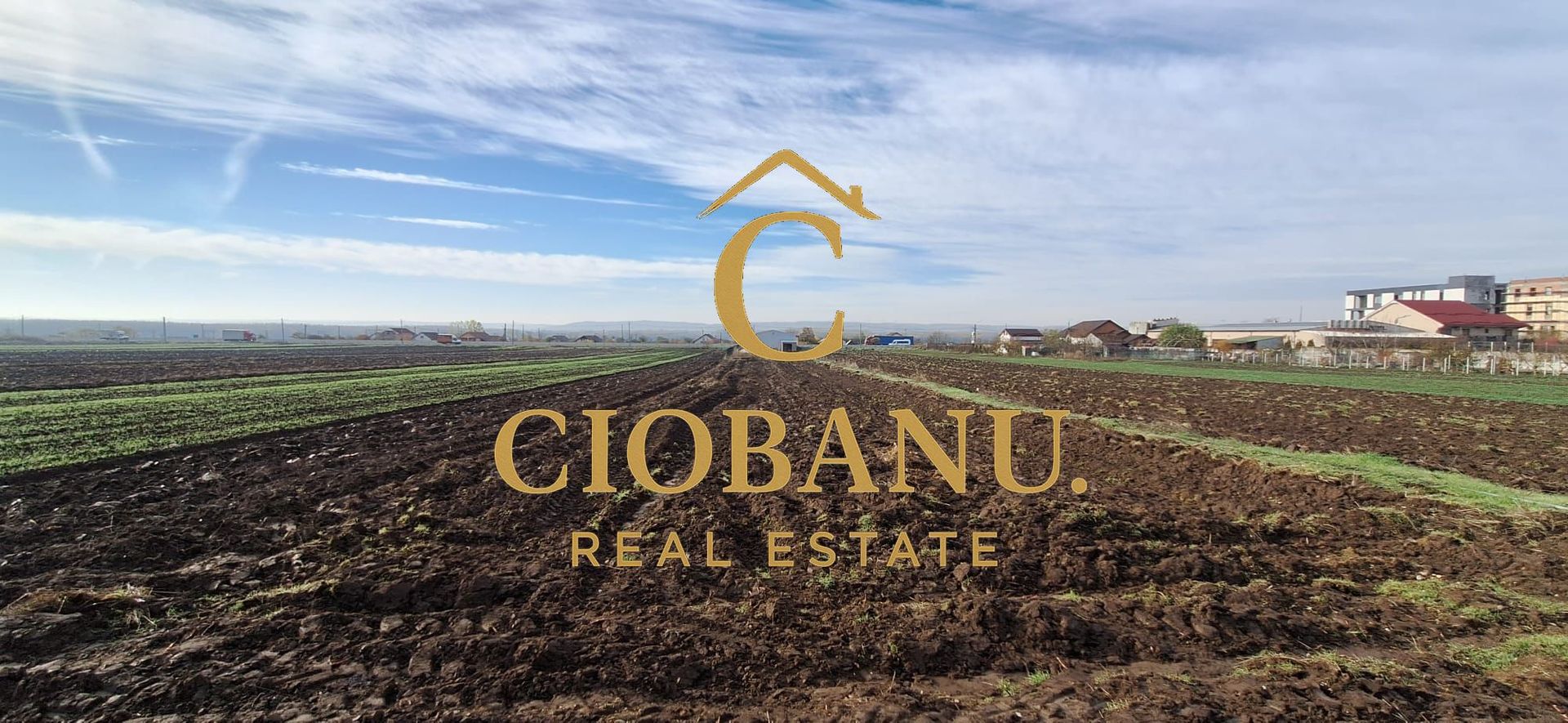 Hala de vanzare in Racari de Jos - Poză 14