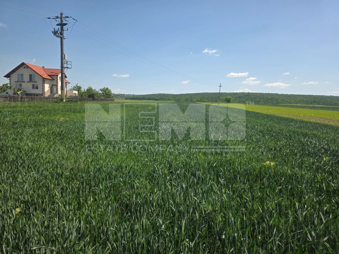 TEREN EXTRAVILAN | MITOCU DRAGOMIRNEI | 2.600 Mp - Poză 4