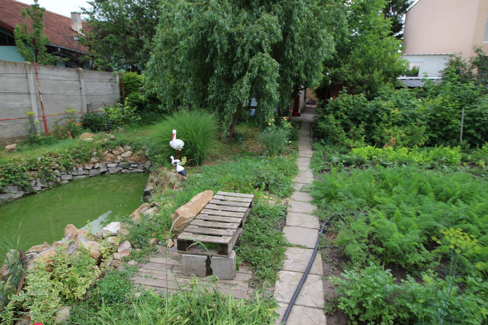 CASA CU TEREN MARE IN ZONA MEHALA - Poză 14