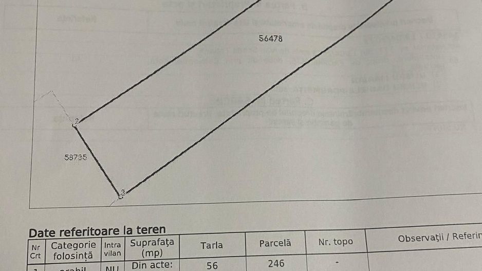 Teren de vânzare | Moara Vlăsiei | Utilități în zonă - Poză 4