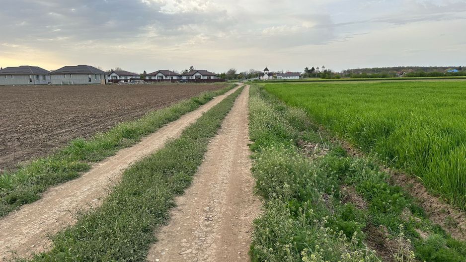 Teren intravilan cu destinatie rezidentiala 7.458 mp Balotesti - Poză 3