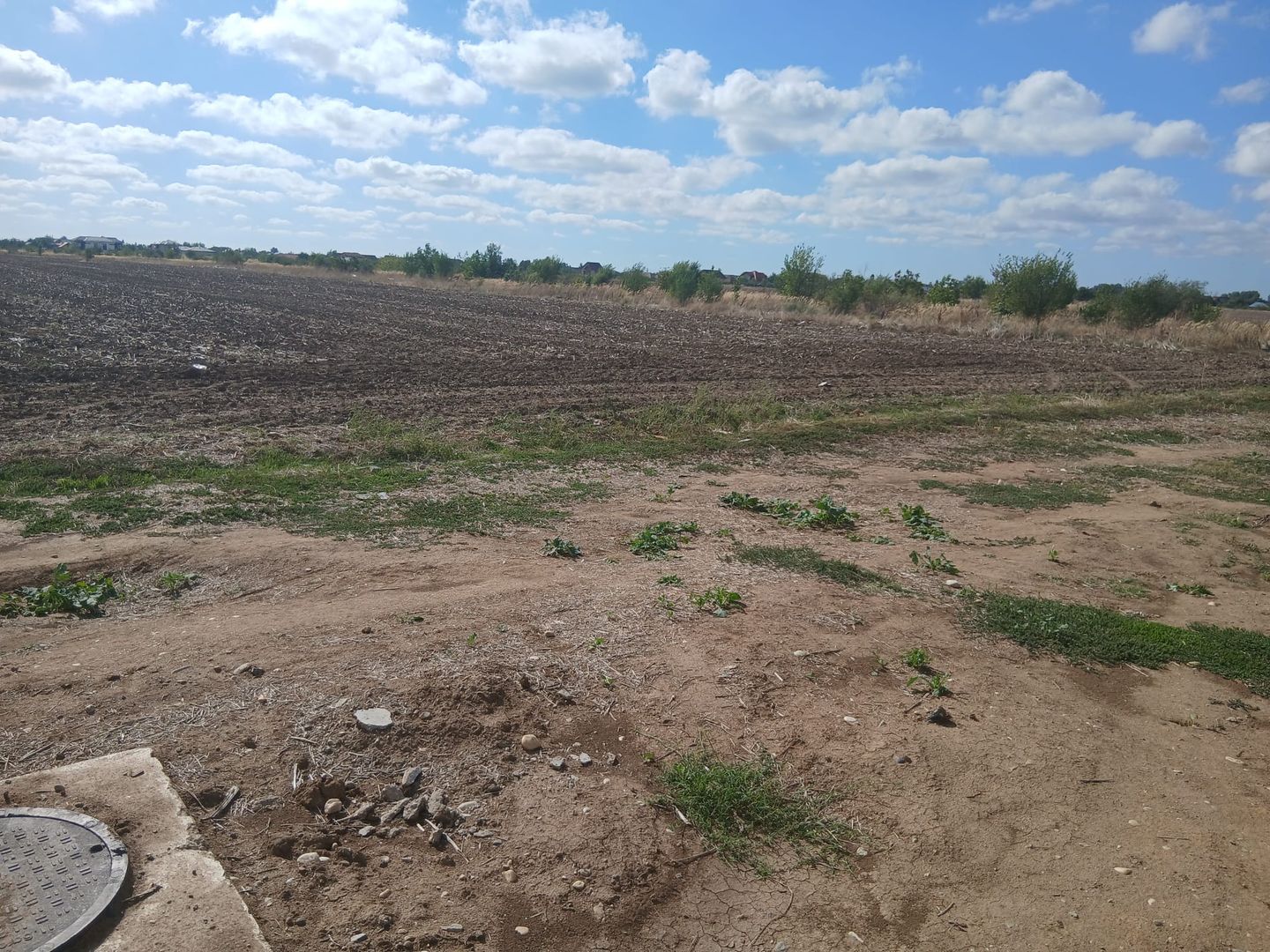 Teren de vanzare 4500mp Strada Rasaritului Darvari Ciorogarla A0 - Poză 3
