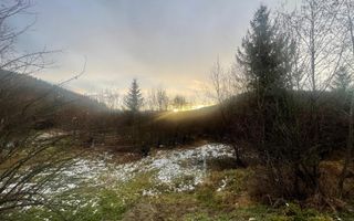 TEREN INTRAVILAN 2,26 HA | SUCEVITA | - Poză 3