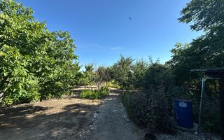 Casa de vanzare 1600 mp teren l Cocorastii Colt, Prahova l Comision 0% - Poză 29