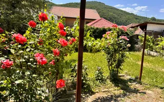 Vand casa 3 camere Muncitoresc - Poză 19