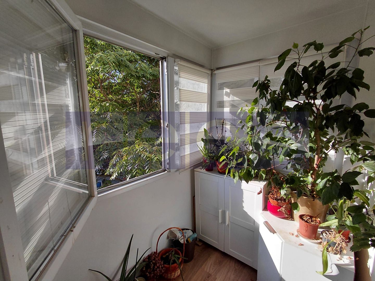VANZARE 3 CAMERE DECOMANDAT DRISTOR - Poză 8