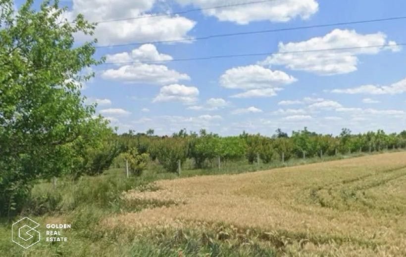 Teren 2843 mp, Giulvaz, judetul Timis - Poză 2