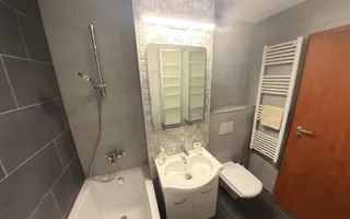 DE ÎNCHIRIAT Apartament 2 camere - cartierul Unirii - Poză 11