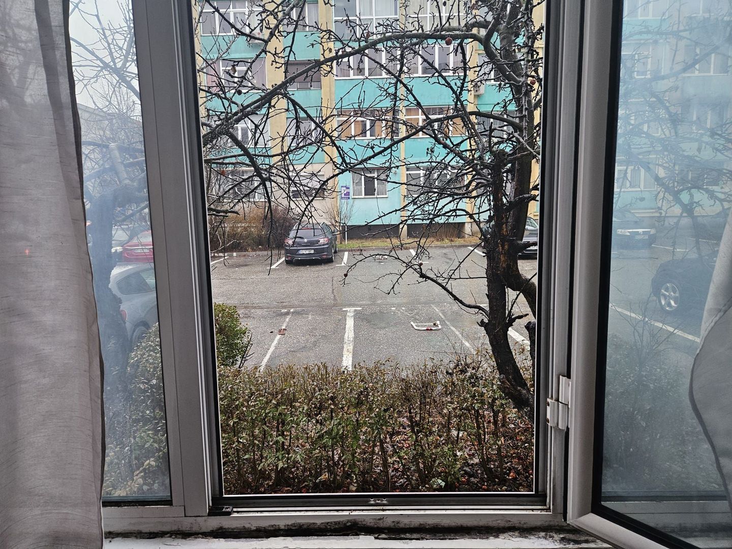 Spațiu comercial de vânzare | Trivale – Str. Bradului - Poză 7