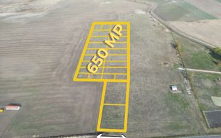 Parcele de teren 650mp | Dudestii Noi - Poză 2