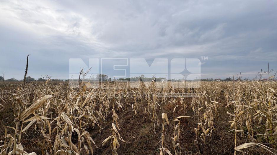 Teren de vânzare | 52 ari | intravilan | Zonă liniștită | Rădăuți - Poză 8