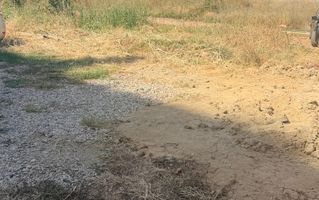 Teren 308mp Drumul Gura Calitei - Poză 3