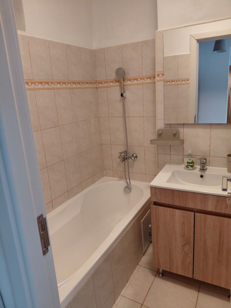 Apartament 2 camere – Bulevardul Basarabiei colț cu Câmpia Libertății - Poză 6