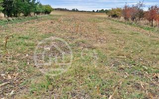 Teren intravilan de vanzare in Cefa, Bihor - Poză 1