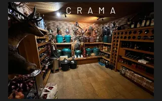 Vila grandioasa, Gradina Japoneza, SPA, Crama, Teren Tenis, Foisor, Iaz Pesti - Poză 13