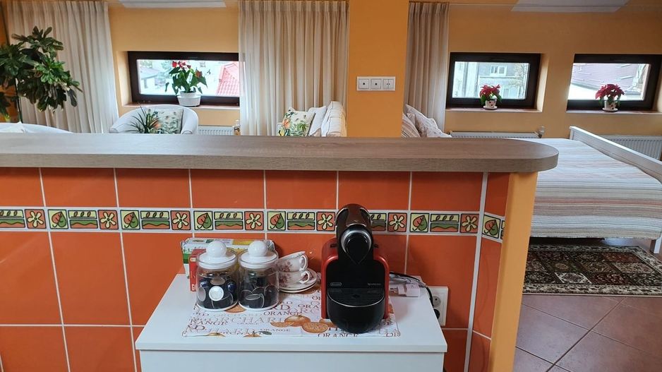 BRASADAS închiriază ap 2 cam la MANSARDA zona Dorobanti. - Poză 15