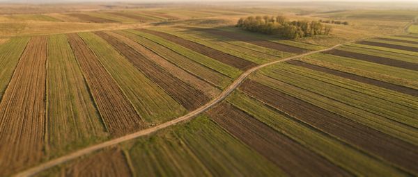 Cum vinzi un teren agricol în extravilanul comunelor din Argeș în 2026: preempțiune, avize și termene