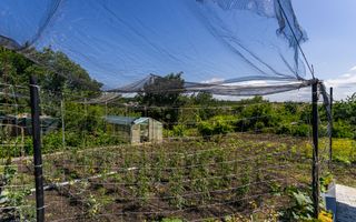 Vânzare, casă, 1 nivel, 3 camere, strada Ion Creangă, Stăuceni - Poză 29