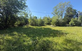 Teren intravilan 1662 mp pozitie superba-Calea Brasovului Valea Neagra - Poză 8