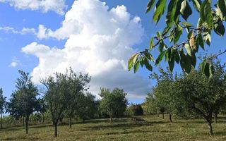 Tren si casa de vacanta in Panticeu - Poză 2