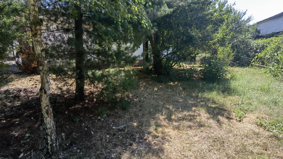 Spatiu industrial zona Sud-Arad - Poză 29