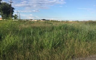 Teren intravilan in comuna Domnesti - sat Teghes - Poză 7