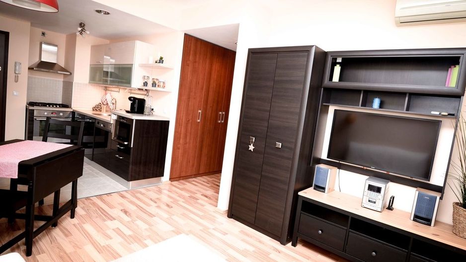 AP.2 CAMERE- ROSE GARDEN, PET-FRIENDLY, PARCARE, MASINA DE SPALAT VASE - Poză 3