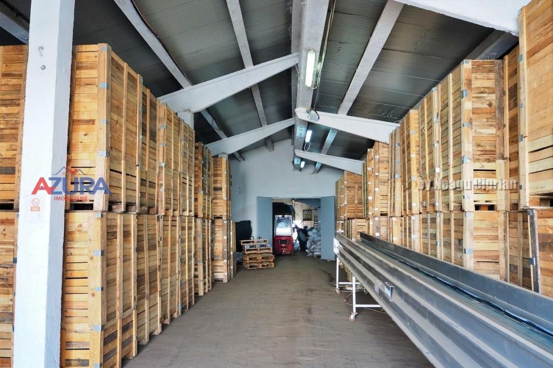 COMISION 0% - HALE Calinesti Arges - Poză 28