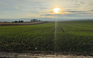 TEREN EXTRAVILAN | E85 | 126.000EURO NEGOCIABIL | - Poză 4