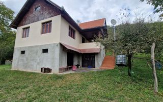 Casa cu livada in Cetea - Poză 24