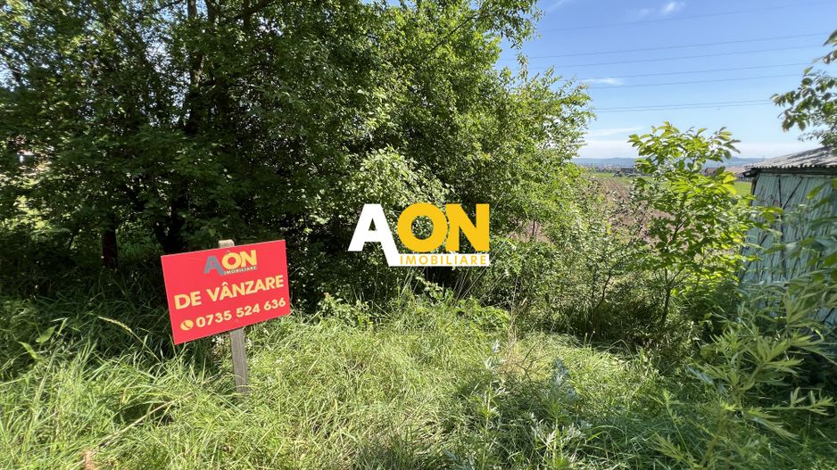 Teren de vanzare cu toate utilitatile si asfalt, 1001MP - Poză 1