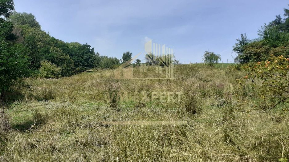 TEREN EXTRAVILAN 2570 MP, CAMPULUNG - Poză 1