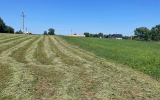 Teren Intravilan 2.462 mp – Ideal pentru Construcție sau Investiție - Poză 4