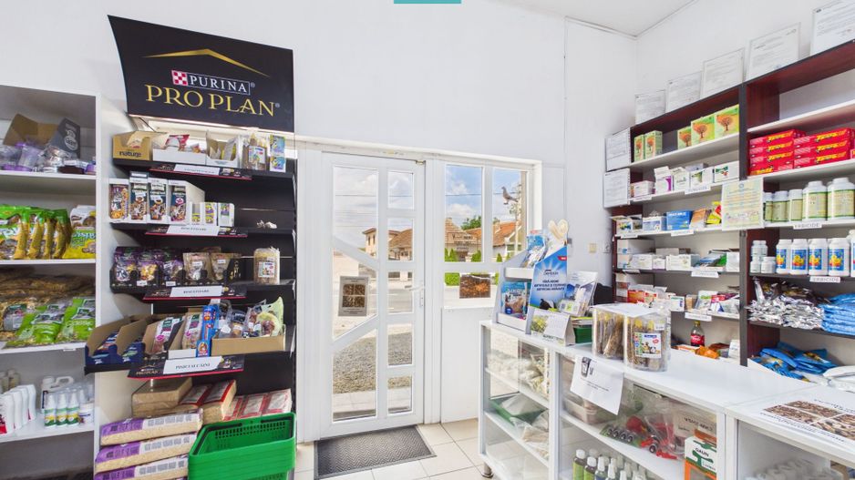 Clădire 446 mp | Teren 1.579 mp Nojorid - Poză 5