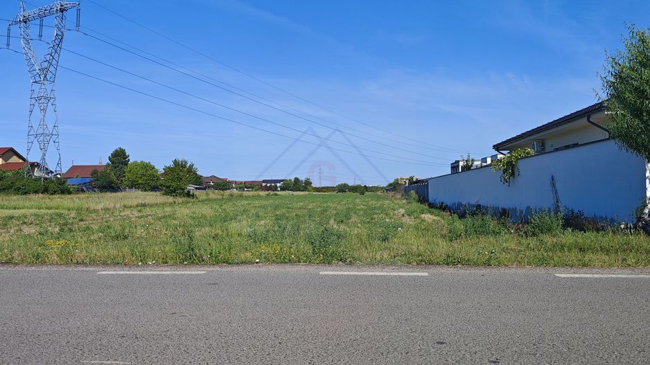 5000 mp teren parcelabil la strada asfaltata, APROAPE DE KAUFLAND. - Poză 6