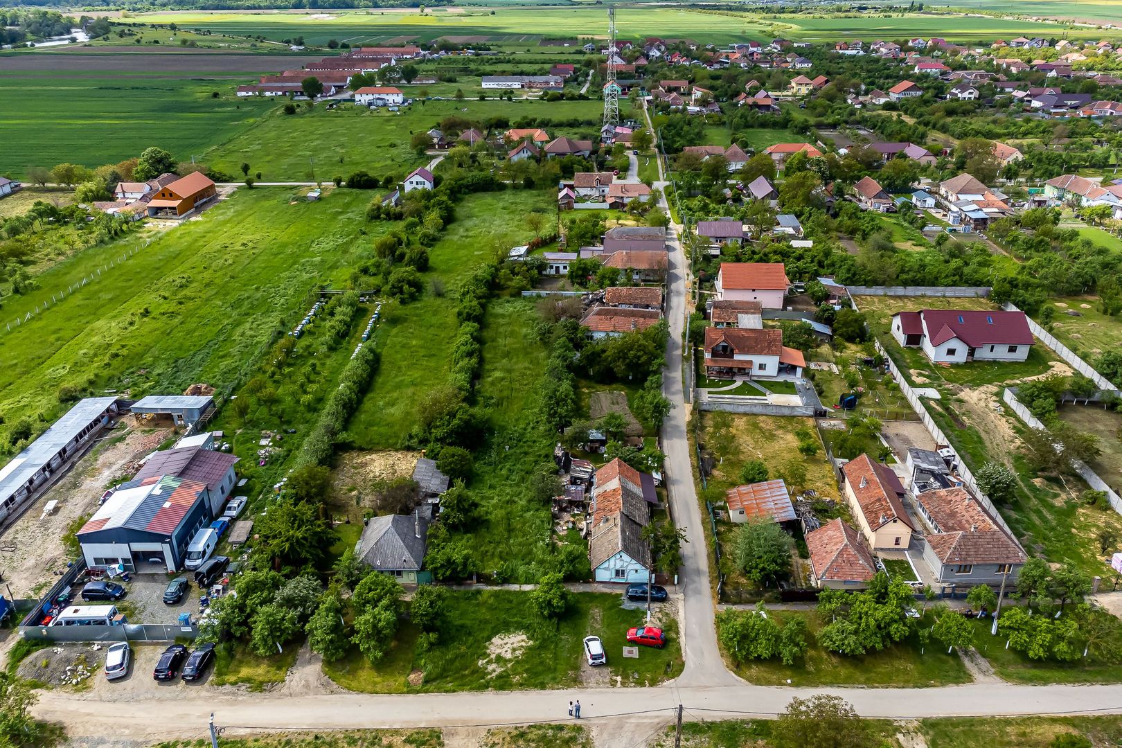 Teren intravilan Mândruloc - Poză 4