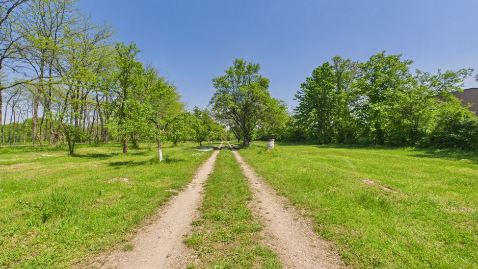 Proprietate unica, vila si 8000 mp pe malul lacului Snagov - Poză 33