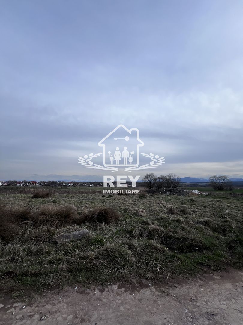 Teren Arabil Turnișor - Spre ferma de pui - Poză 1