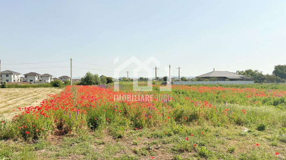 Teren 2900 mp colț | 2 fronturi | Aviatorilor | 165.000€ - Poză 7