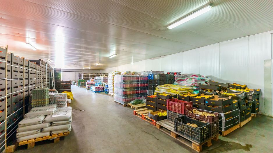 Hală frigo de vânzare în Săcălaz - Poză 8