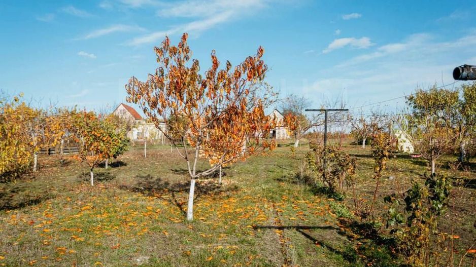 Vânzare, casă, 4 camere, loc. Maximovca, Anenii Noi - Poză 16