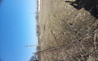 Loc de casă în Prisecani, comuna Popricani - Poză 1