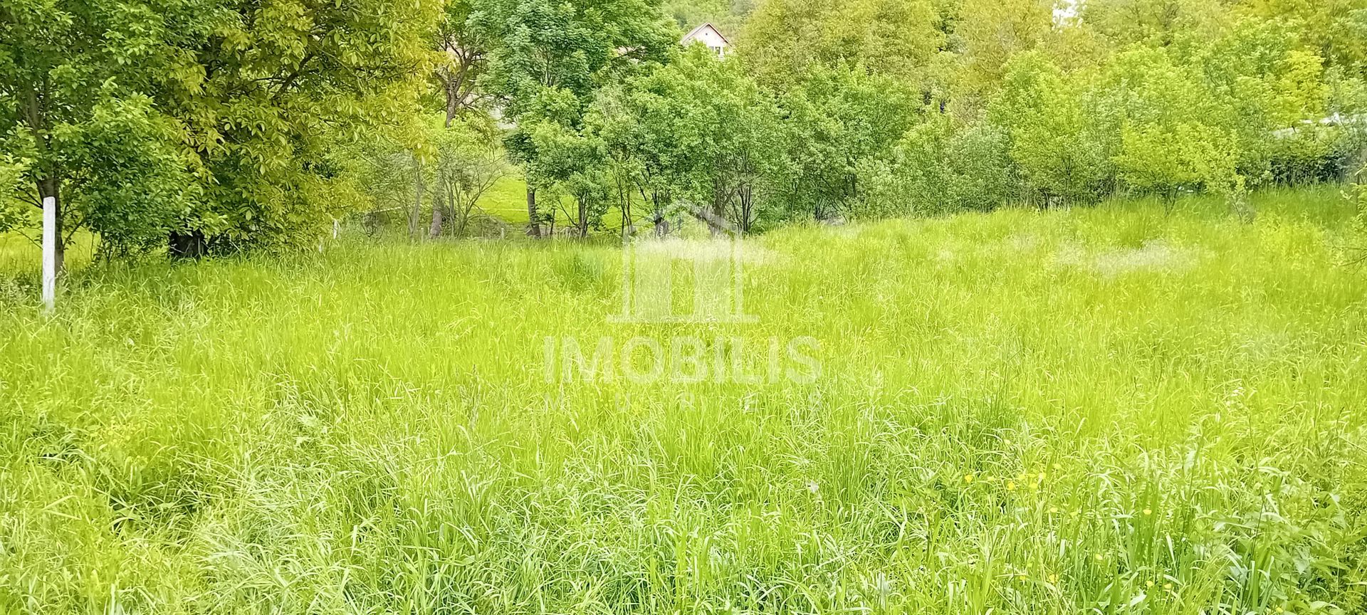 Teren intravilan | Budiu Mic | 994 mp - Poză 7