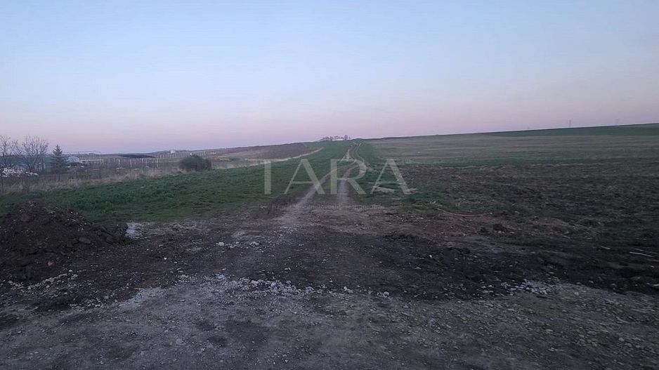 Teren generos în Jucu de Mijloc – ideal pentru constructii. - Poză 1