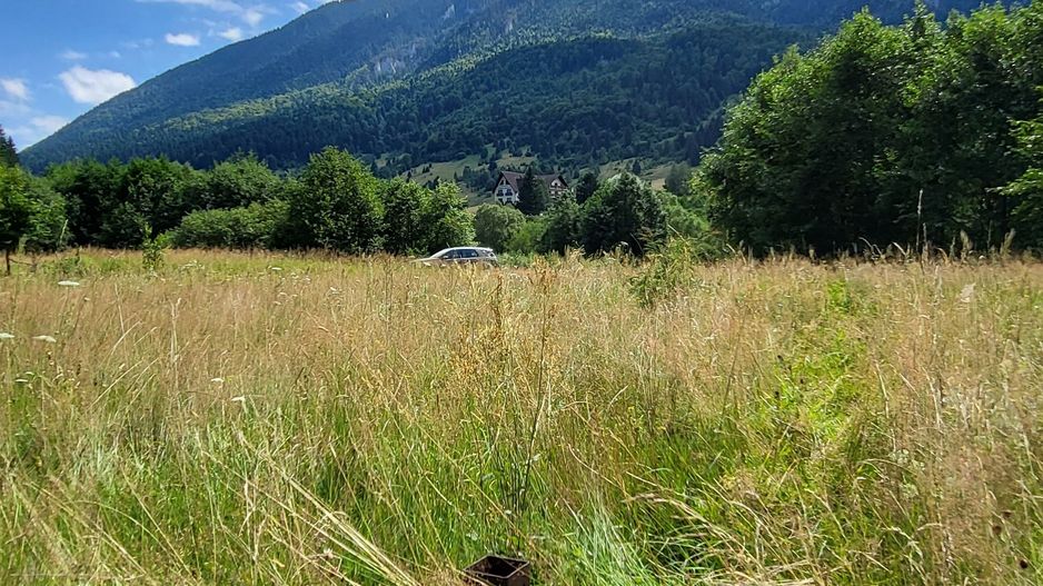 Plaiul Foii, teren pretabil casă de vacanță, pensiune, comision 0% - Poză 7