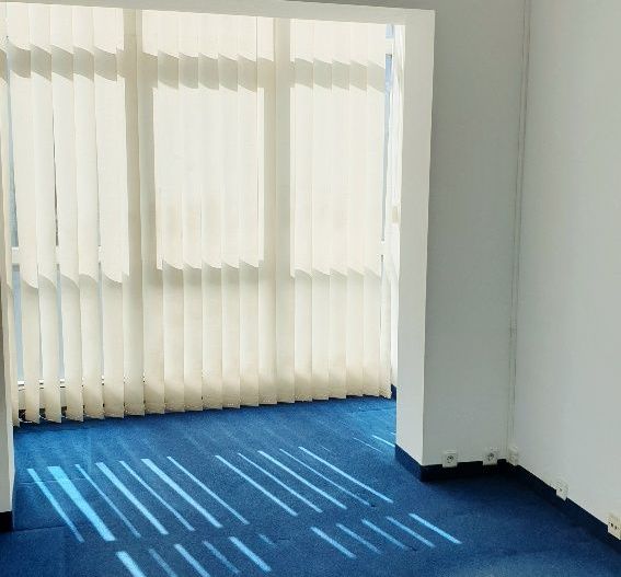 Spatiu birouri- Ion Mihalache- Ciuperca-Expozitiei - Poză 10